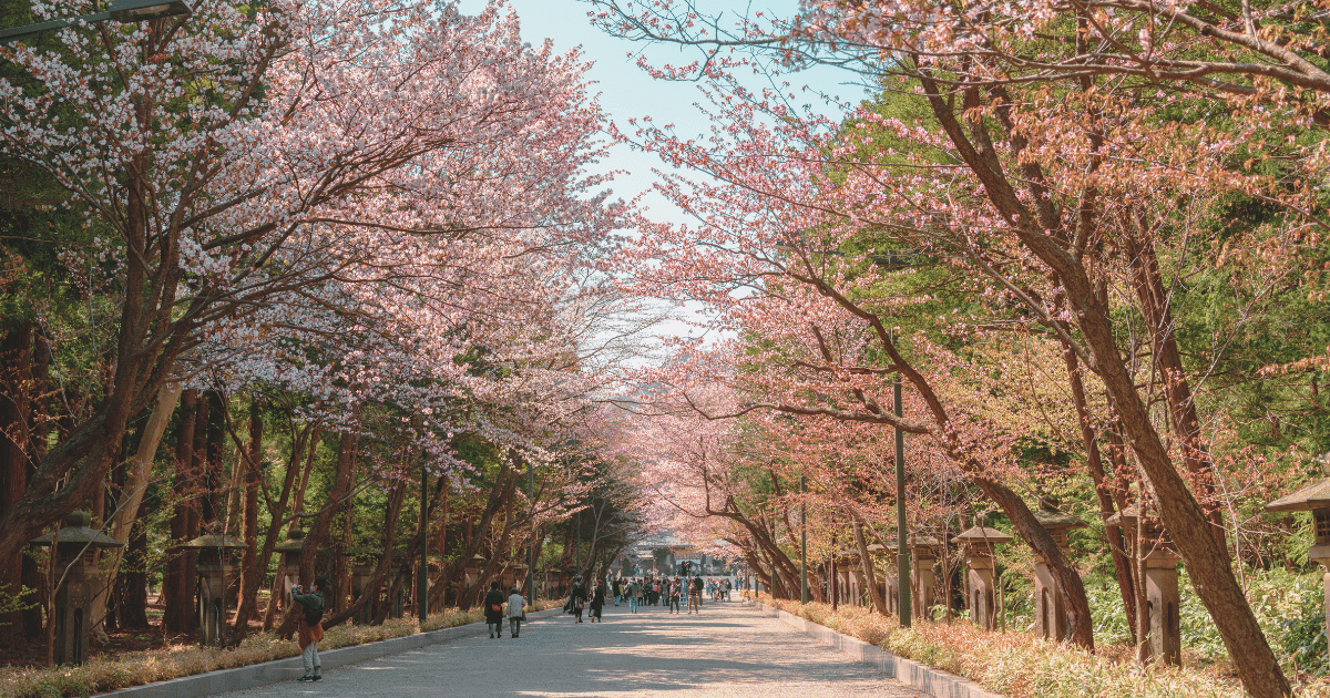 札幌近郊観光
